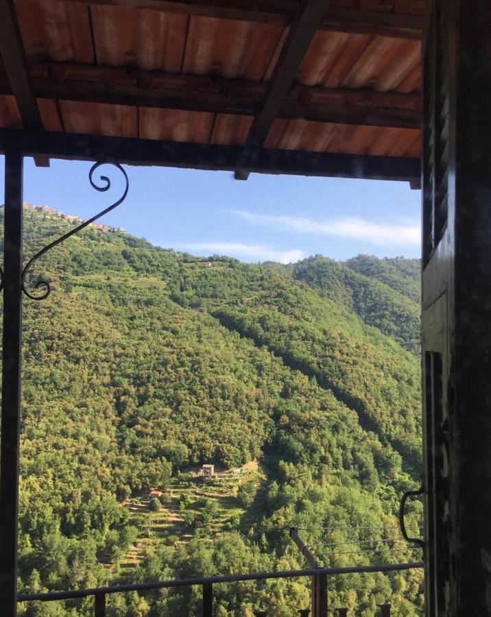 House In The Medieval Village Apricale Exterior photo