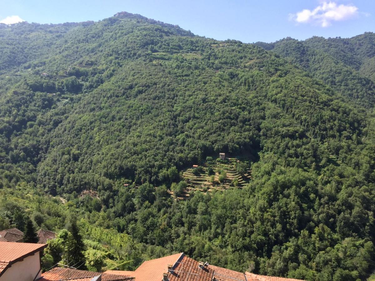 House In The Medieval Village Apricale Exterior photo