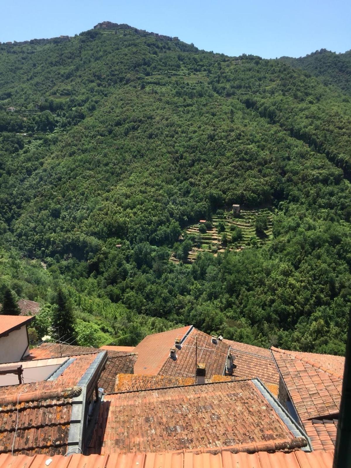 House In The Medieval Village Apricale Exterior photo